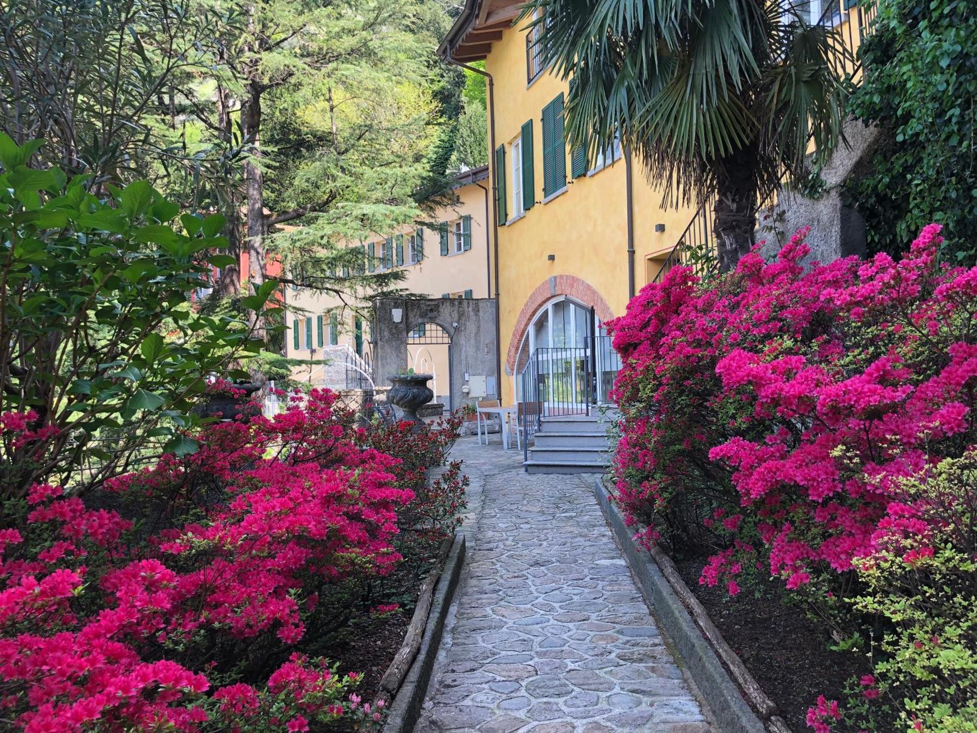 Rosa Dei Venti - Lake View Apartments & Suites Bellano Buitenkant foto